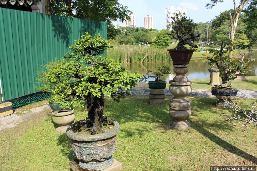 Японский сад Сингапура. Сингапур (город-государство)
