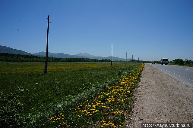 Сахалин. Турция Сахалин. Турция