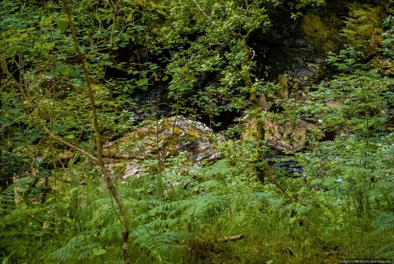 Водопад Фаллоха Фоллс-оф-Фаллох, Великобритания
