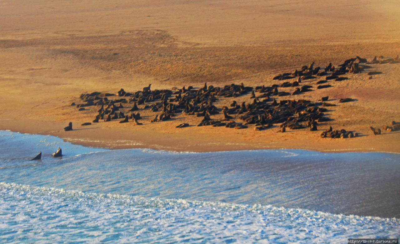 Залив Концепшн Парк Намиб-Науклуфт, Намибия Залив Концепшн Парк Намиб-Науклуфт, Намибия