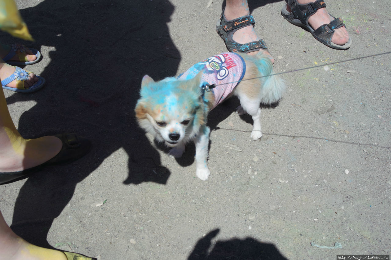 И был праздник И был праздник