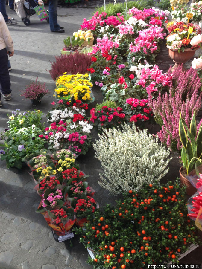 Площадь Кампо деи Фиори Рим, Италия Площадь Кампо деи Фиори Рим, Италия