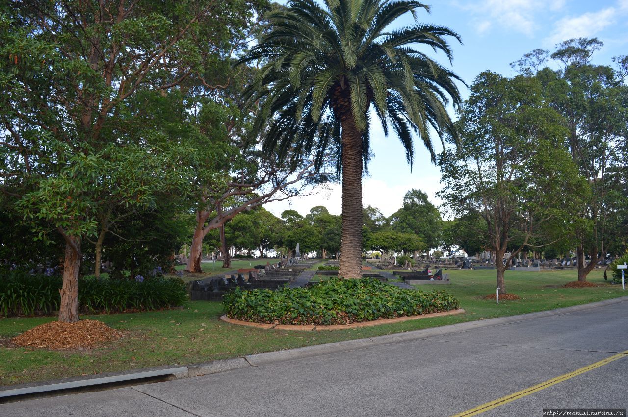 Королевский ботанический сад Сидней, Австралия