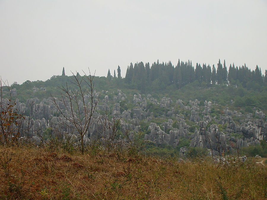 Осень в Каменном лесу Куньмин, Китай