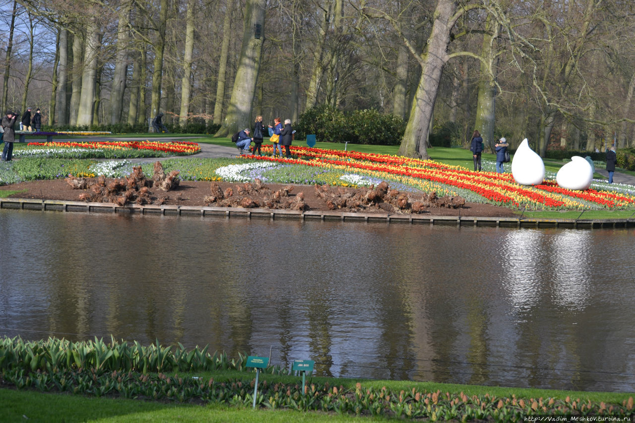 Парк открыт только в первые два месяца весны, когда цветут весенние цветы. Кёкенхоф, Нидерланды
