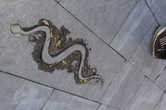Хорошая примета — найти каменную змейку на площади у Галатской башни.