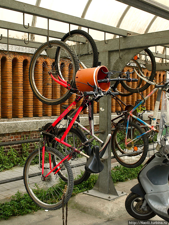 Велосипеды подвешивают вертикально Фиденза, Италия