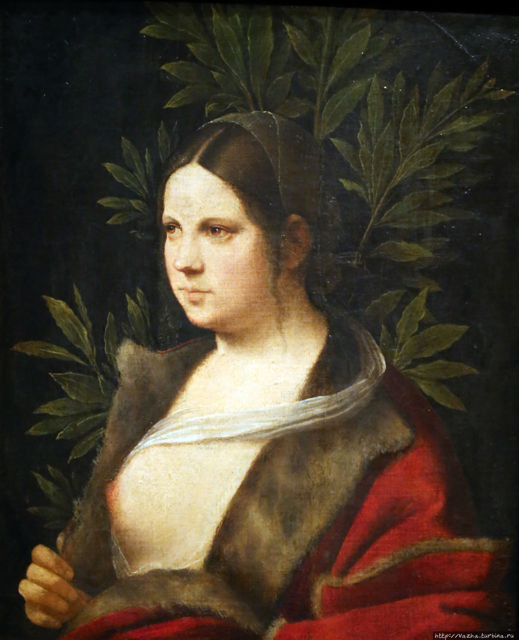 Джорджоне. Женский портрет Вена, Австрия