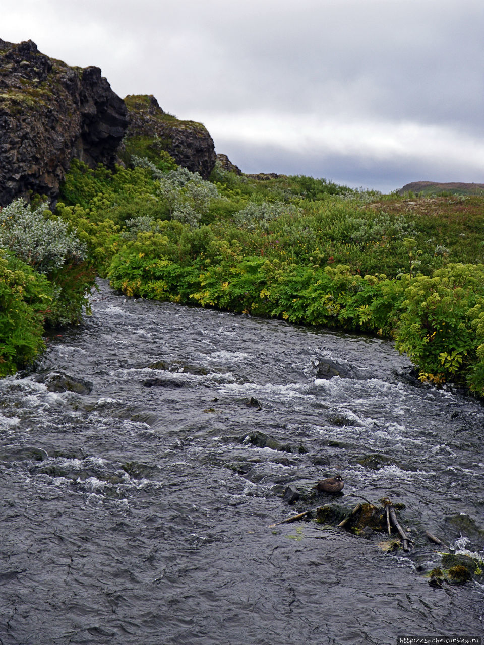 Зеленая Исландия. Каньон Аусбирги Аусбирги каньон, Исландия