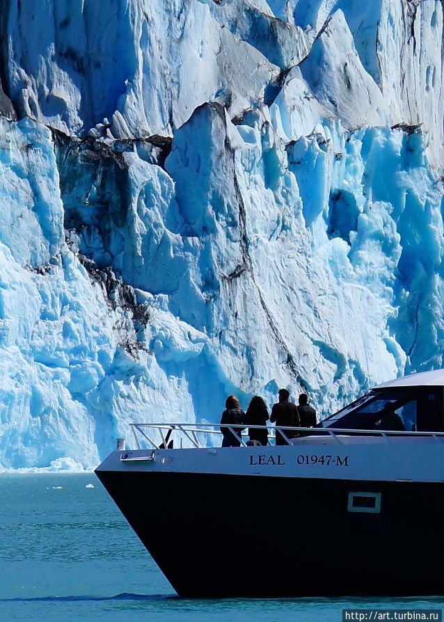 к некоторым можно подобраться практически вплотную к некоторым можно подобраться практически вплотную