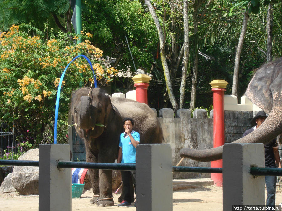Добро пожаловать в зоопарк! Пхукет, Таиланд
