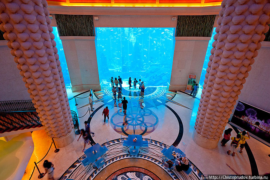 Если вы не хотите снимать в этом отеле номера, но желаете посмотреть на аквариум, то можно отправиться в прогулку по главному холлу отеля. Дубай, ОАЭ