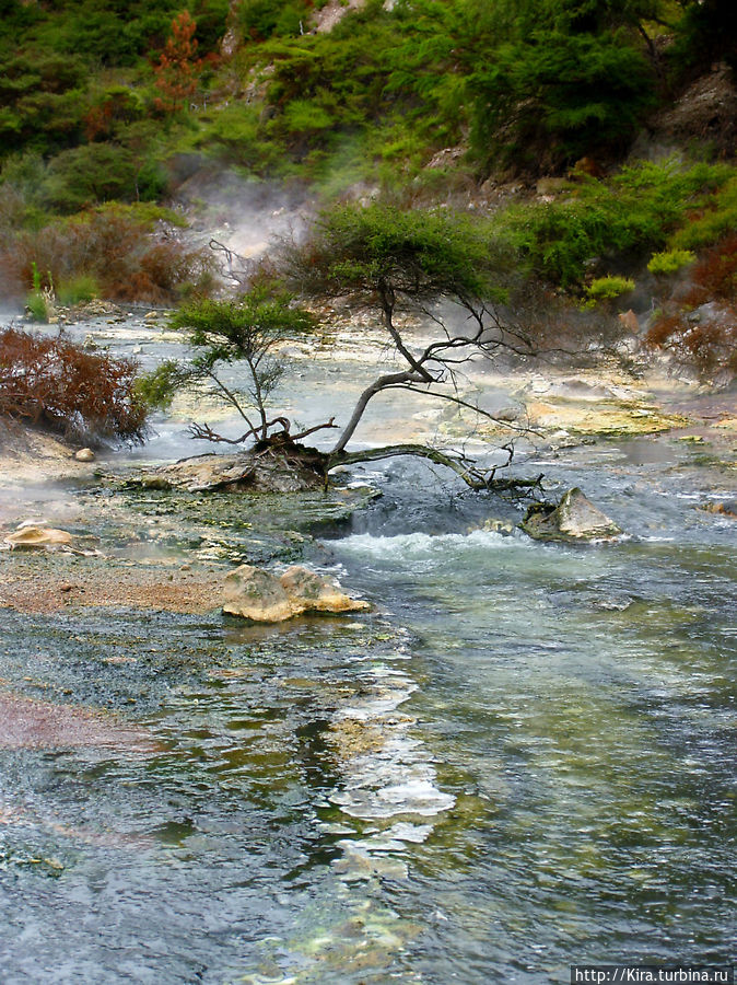 Waimangu Volcanic Valley Waimangu Volcanic Valley