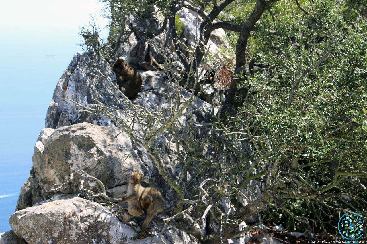 Гибралтар за 5 часов Гибралтар Гибралтар за 5 часов Гибралтар