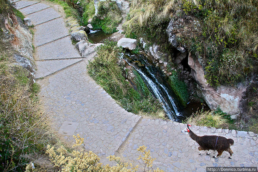 Росчерком Перу Куско, Перу Росчерком Перу Куско, Перу