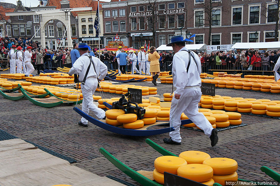 Сырный рынок в Алкмаре — развлекательное действо! Алкмар, Нидерланды