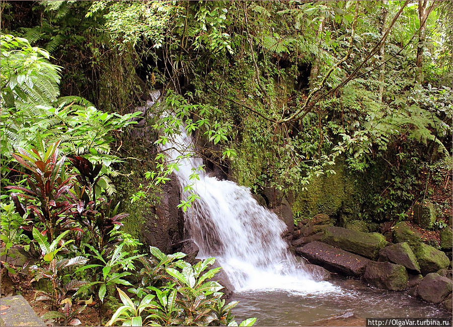 Местный водопад Булусан, Филиппины Местный водопад Булусан, Филиппины