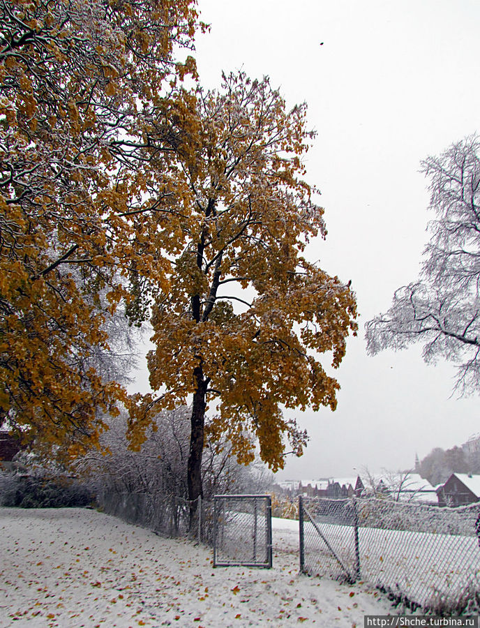 вот такой не хитрый выход из парка к реке вот такой не хитрый выход из парка к реке