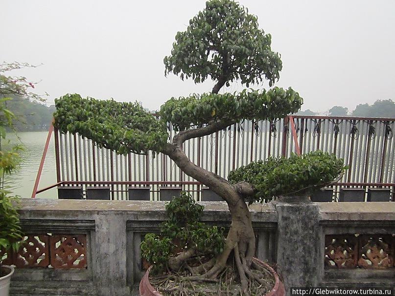 Ханой. Храм на озере Guon Ханой, Вьетнам