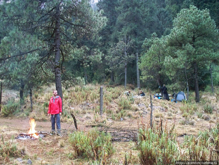 Необычный пейзаж для тропиков Необычный пейзаж для тропиков