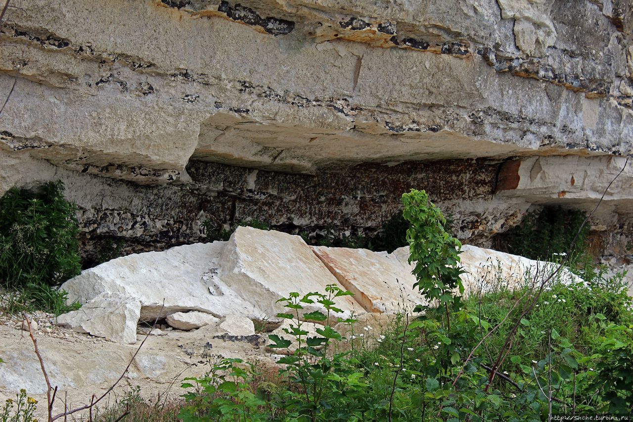 Стевнс Клинт Стевнс-Клинт береговая линия, Дания Стевнс Клинт Стевнс-Клинт береговая линия, Дания