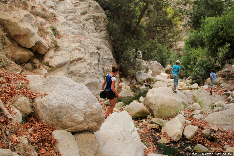 Ущелье Авакас Акамас полуостров Национальный Парк, Кипр