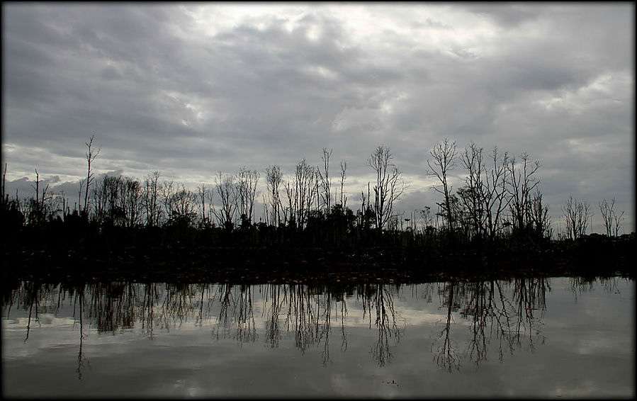 Брунейский круиз (ч.1 — в поисках Носача) Округ Бруней-Муара, Бруней Брунейский круиз (ч.1 — в поисках Носача) Округ Бруней-Муара, Бруней