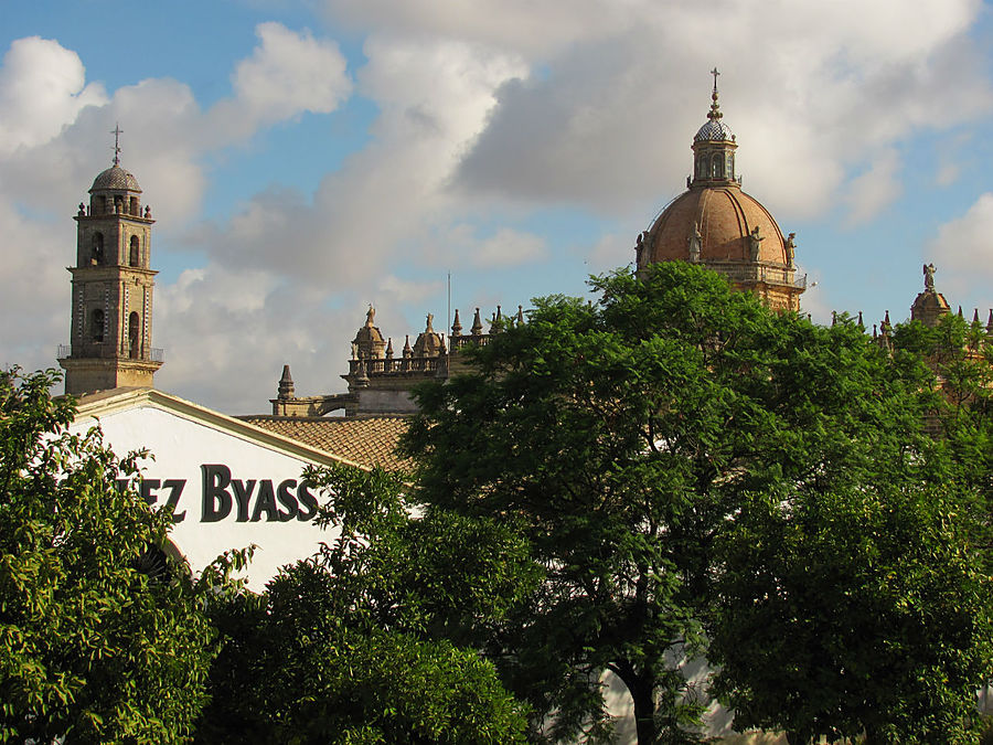 По пути к Красоте проходим мимо знаменитой винокурни González Byass, которая делает самый известный херес Tío Pepe — Дядя Пепе... По пути к Красоте проходим мимо знаменитой винокурни González Byass, которая делает самый известный херес Tío Pepe — Дядя Пепе...