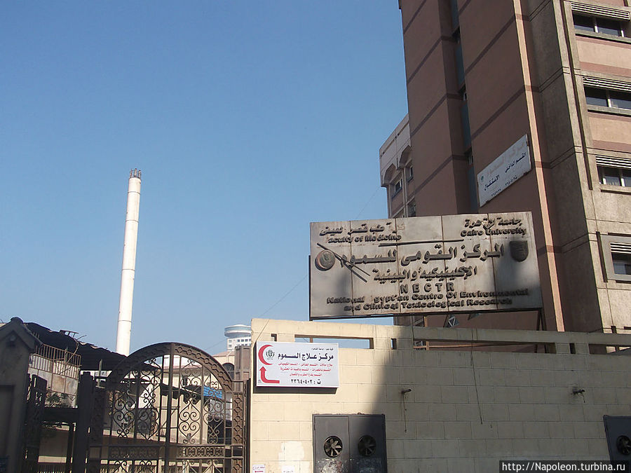 Госпиталь каирского университета Гиза, Египет