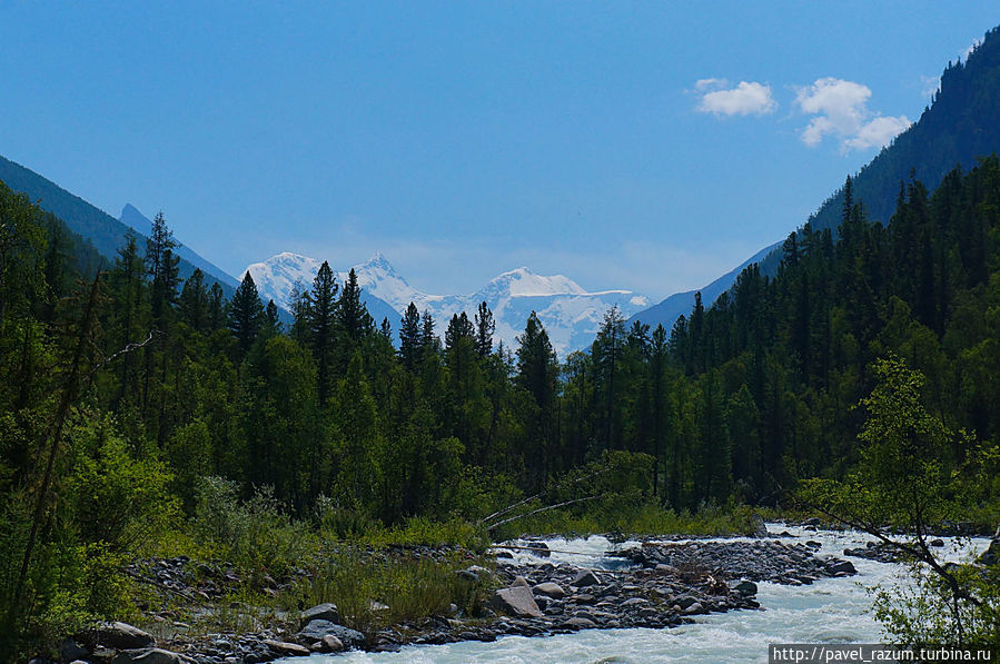 Вдали показалась двухглавая гора Белуха Вдали показалась двухглавая гора Белуха