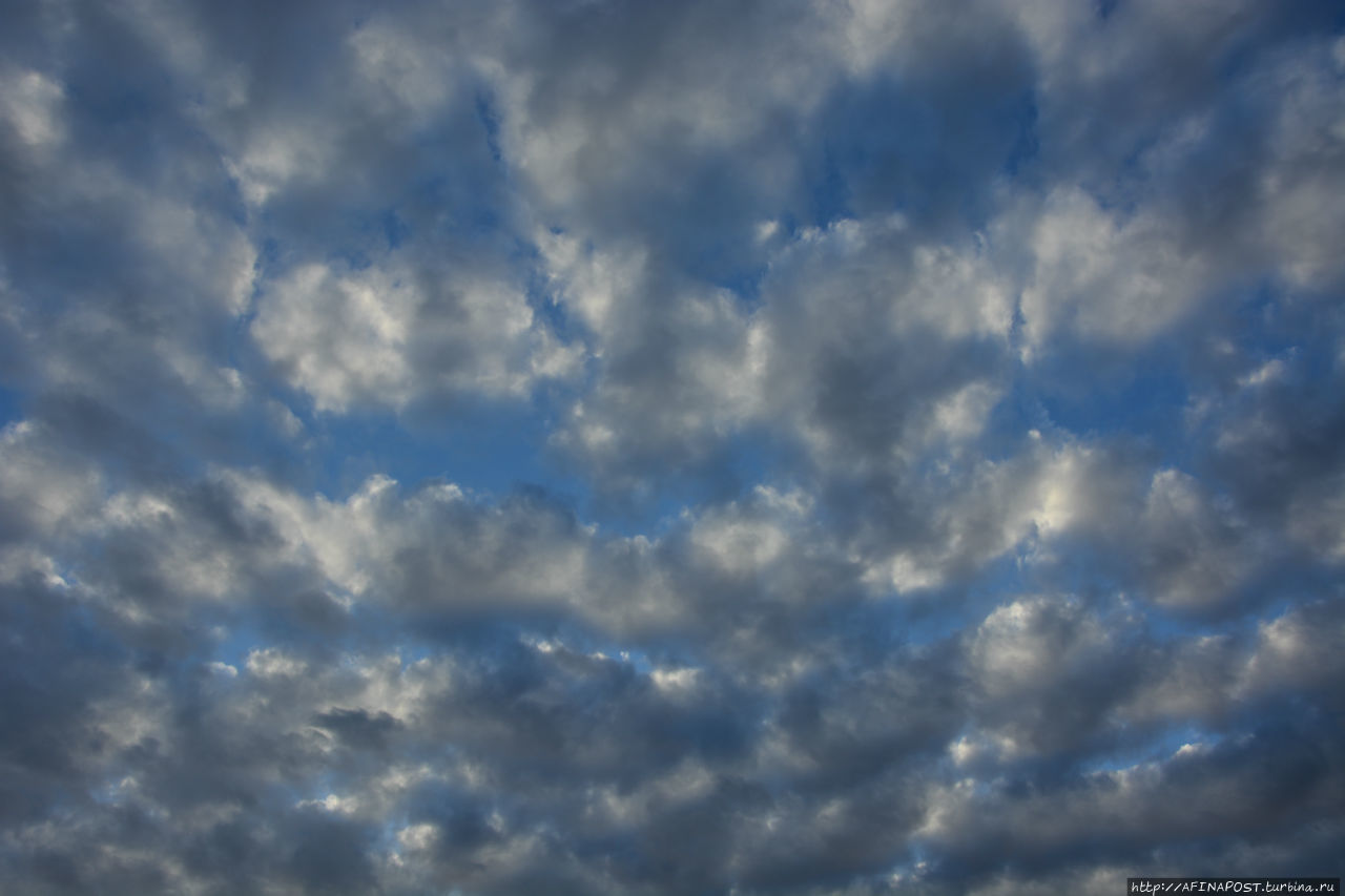 Все оттенки серого Все оттенки серого