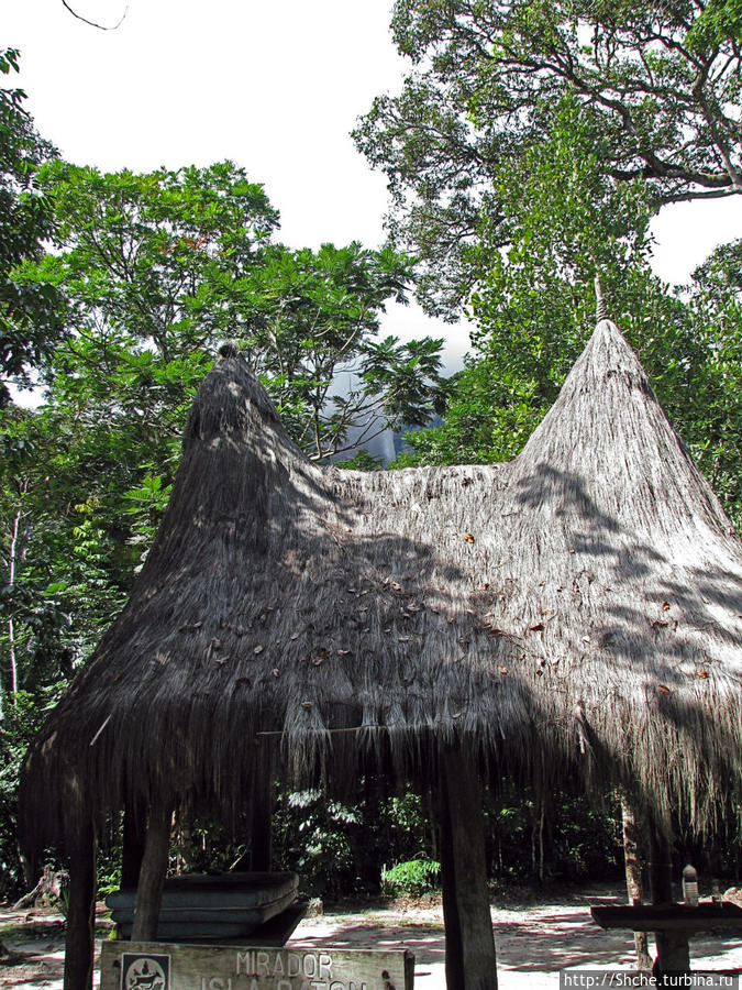 На пути к Анхелю... пешком по тропическим джунглям Национальный парк Канайма, Венесуэла