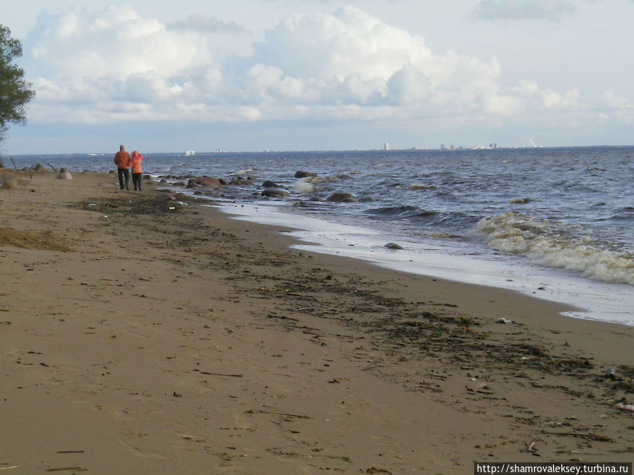 Вдоль берега моря Зеленогорск, Россия