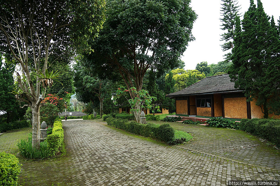 Коттедж СПА-центра в Сиатере. Коттедж СПА-центра в Сиатере.