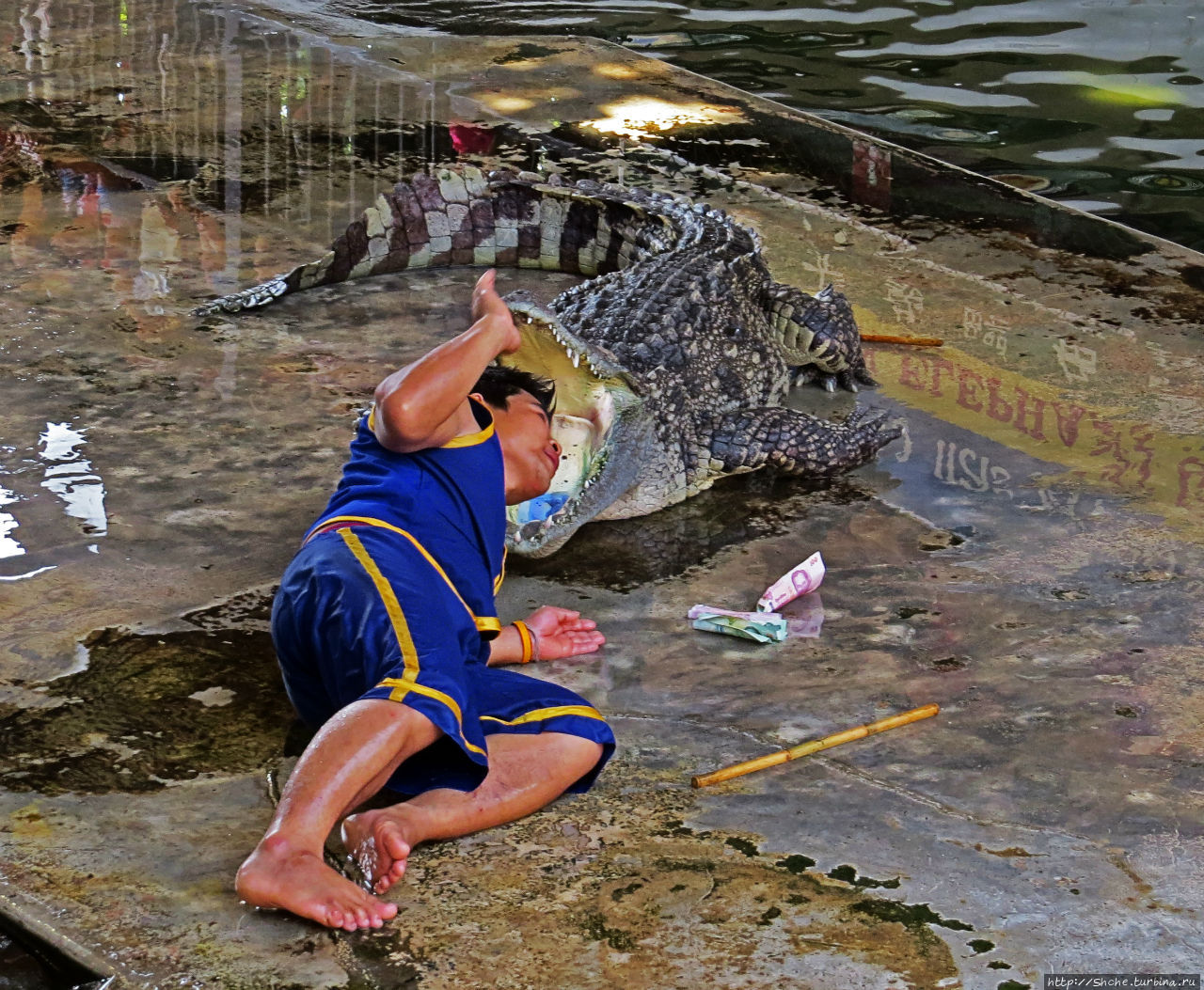 Crocodile Show (Samphran Elephant Ground & Zoo) Сам-Пран, Таиланд