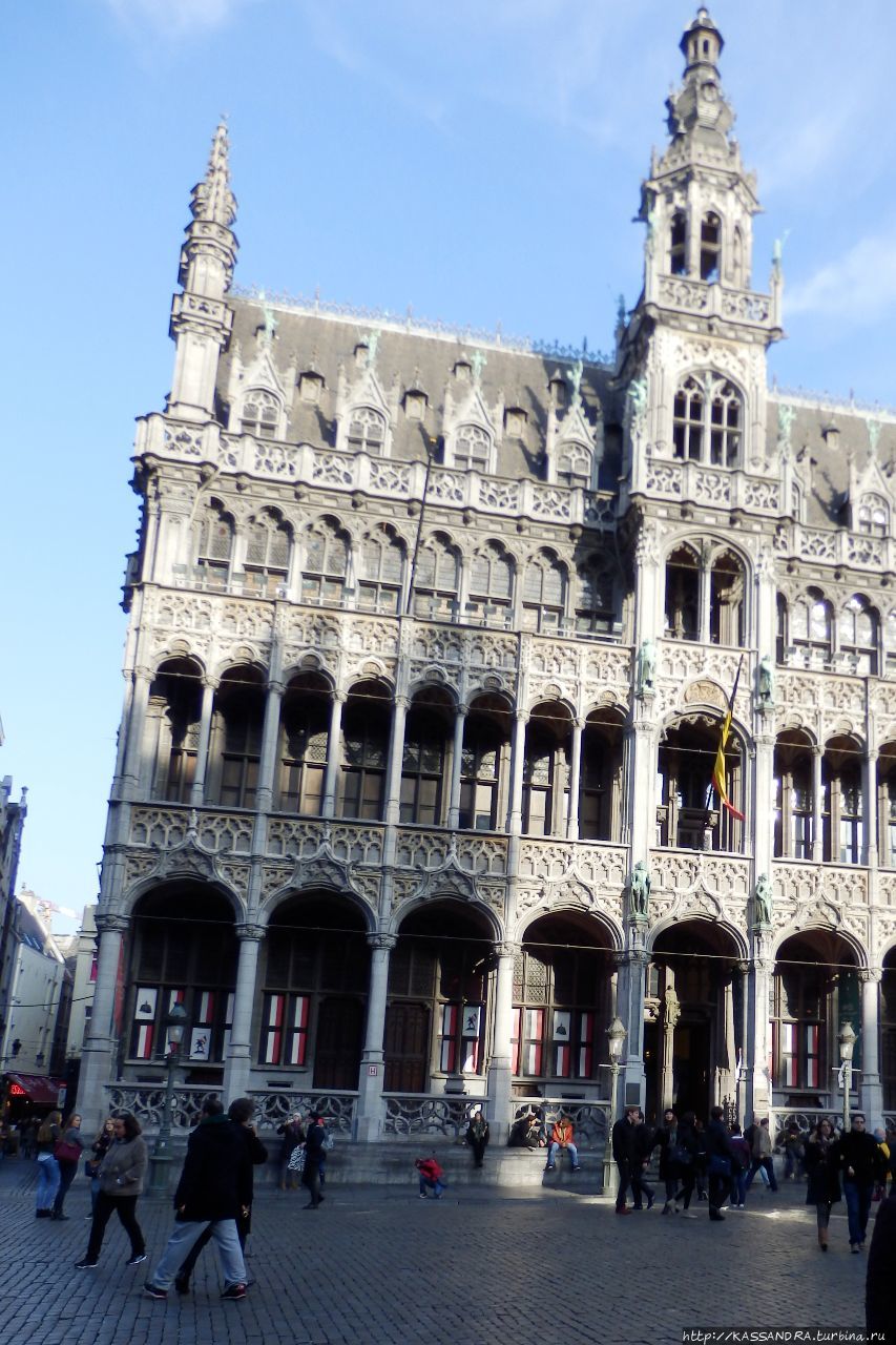 Дом короля (Хлебный дом) Брюссель, Бельгия