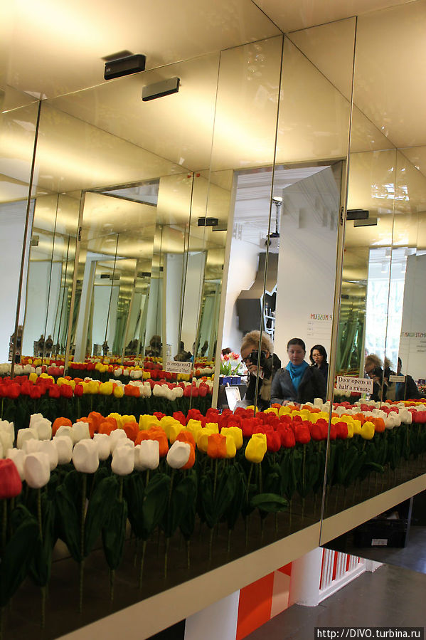 Музей тюльпанов в Амстердаме Амстердам, Нидерланды