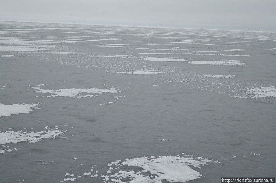 По Балтийскому катку Юрмала, Латвия По Балтийскому катку Юрмала, Латвия
