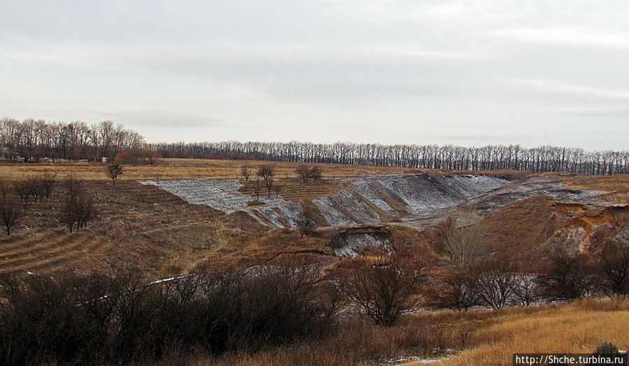 Времена года, или эксперимент, длинною в год Рогань, Украина