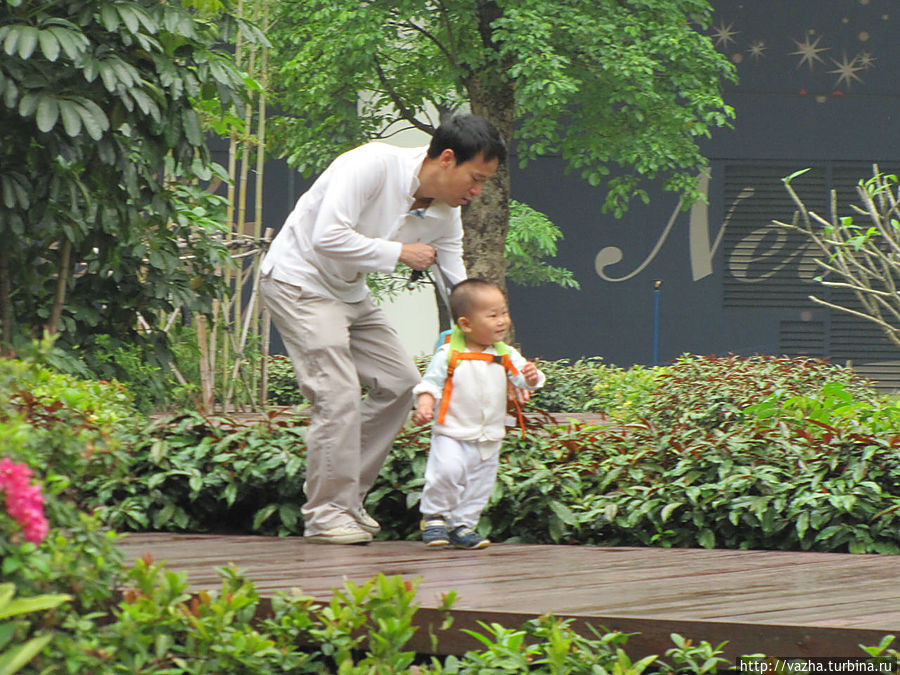 Прогулка по парку Гуанчжоу, Китай Прогулка по парку Гуанчжоу, Китай