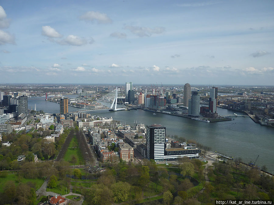 Вид с башни Rotterdam Maast Роттердам, Нидерланды
