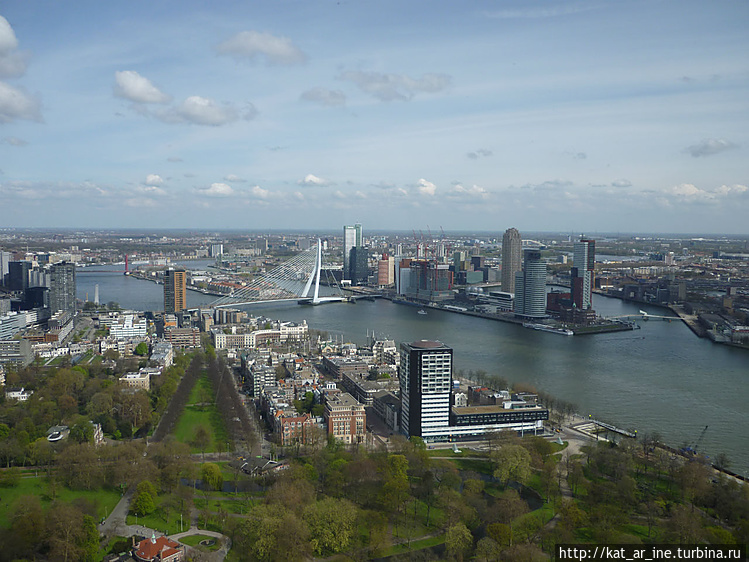 Вид с башни Rotterdam Maa