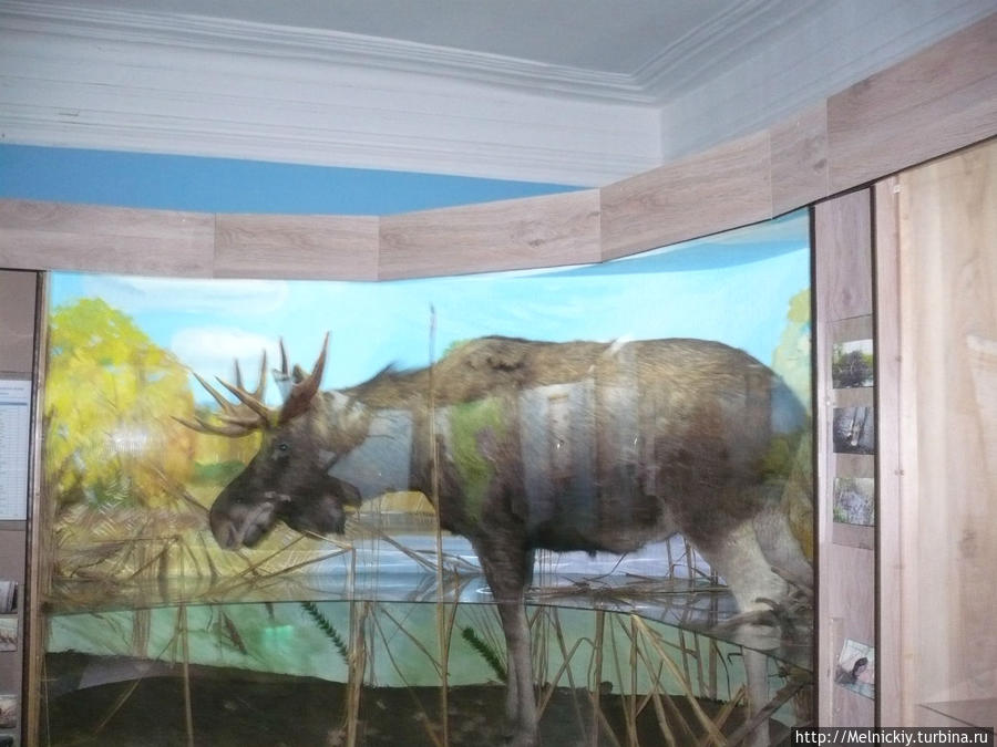 Белозерский краеведческий музей Белозерск, Россия