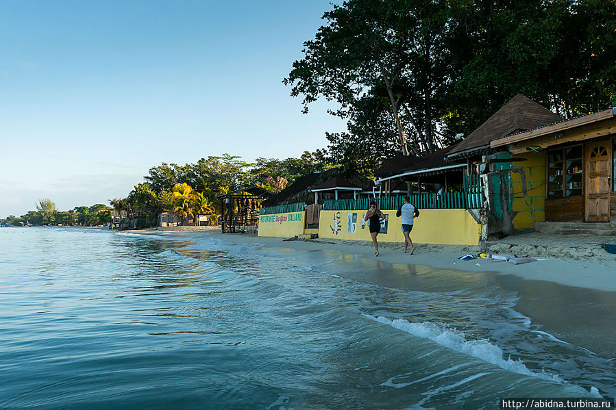 Утренняя пробежка Утренняя пробежка