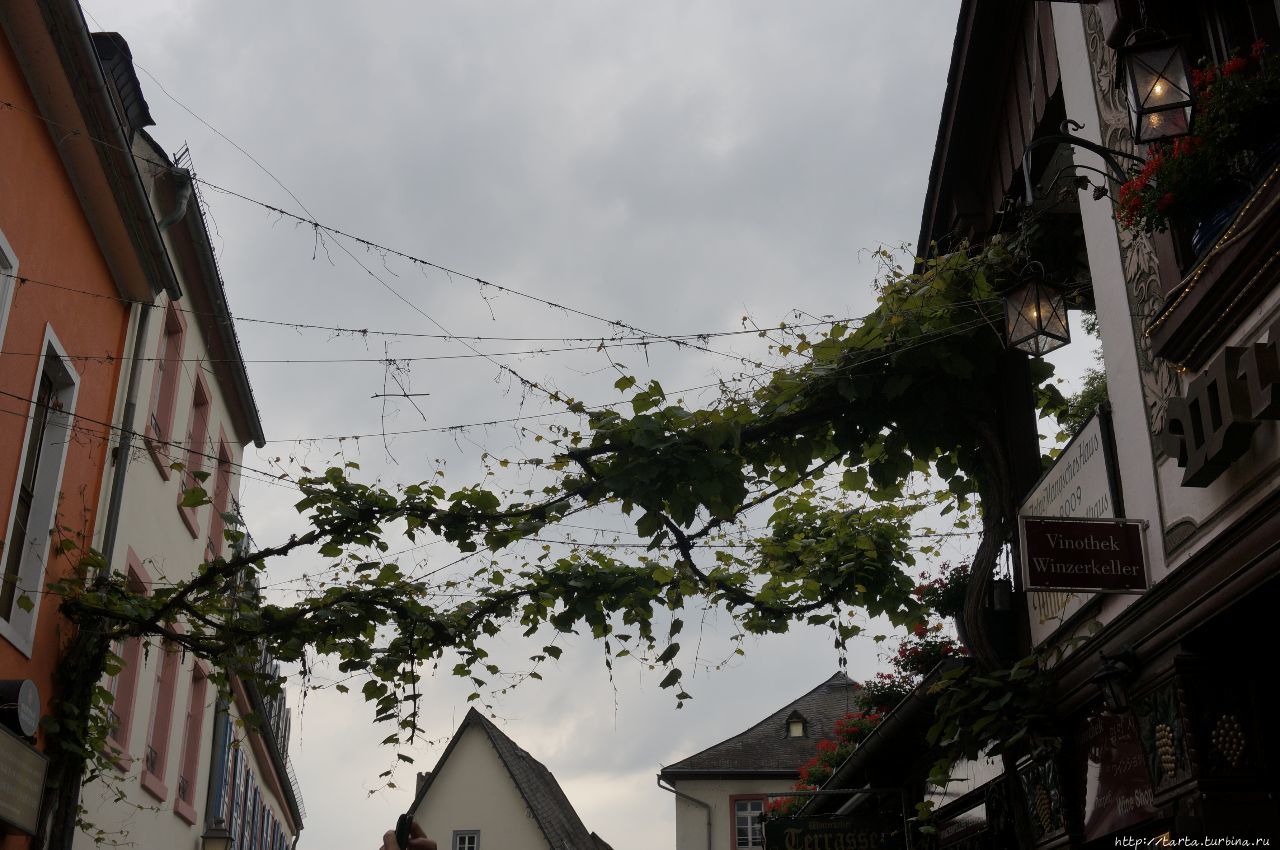 Сказочный Рюдесхайм, вино и замки Рюдесхайм-на-Рейне, Германия Сказочный Рюдесхайм, вино и замки Рюдесхайм-на-Рейне, Германия