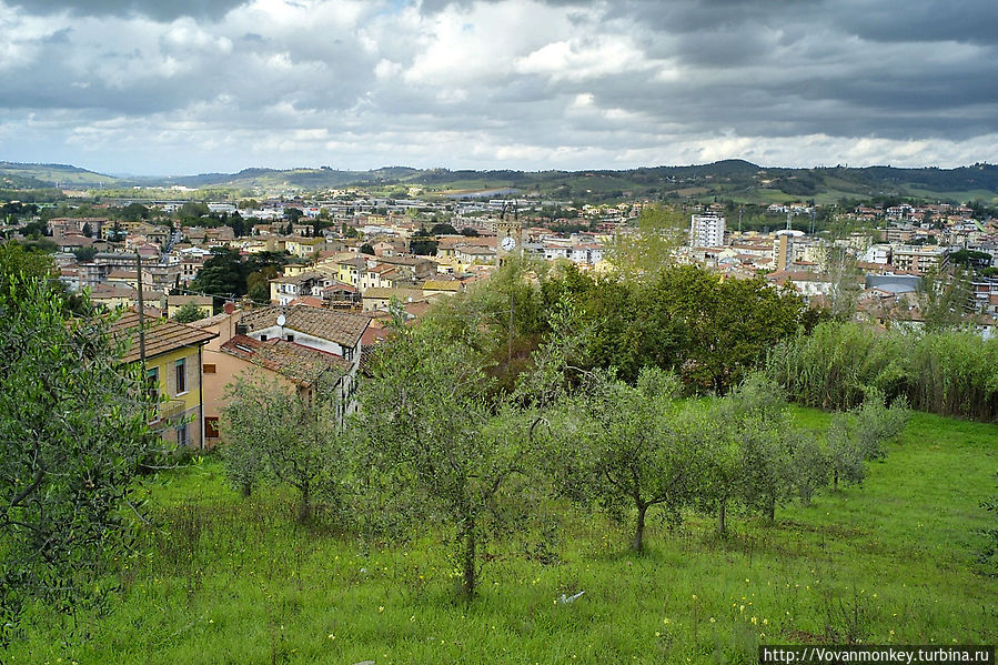 А вот и панорама на Поджибонси и оливковый сад. Поджибонси, Италия