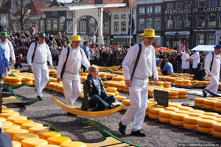 Сырный рынок в Алкмаре — развлекательное действо! Алкмар, Нидерланды