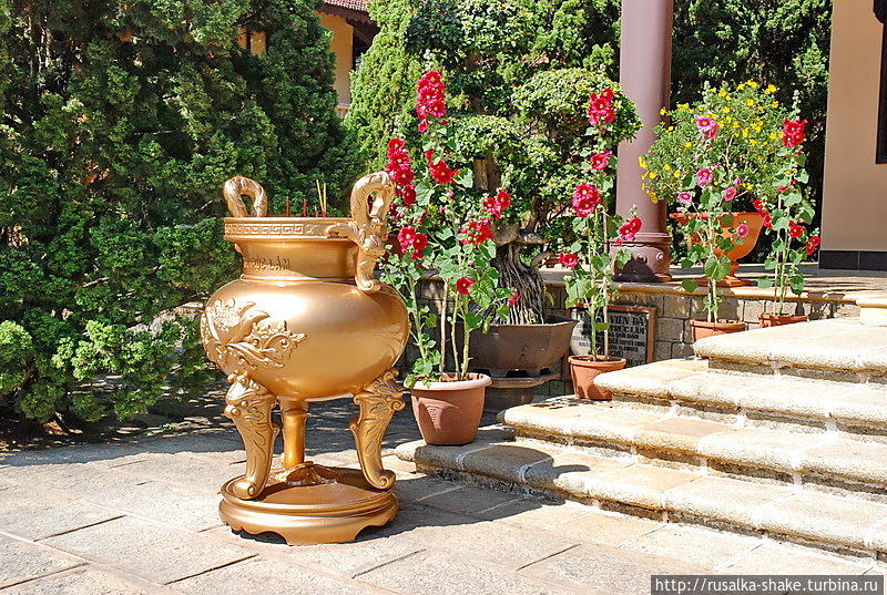 Монастырский сад с уникальным нефритовым цветком Далат, Вьетнам