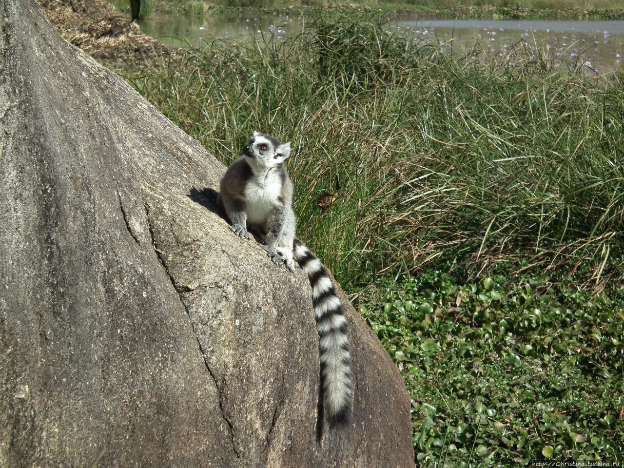 Природный парк Анджа Амбалавау, Мадагаскар