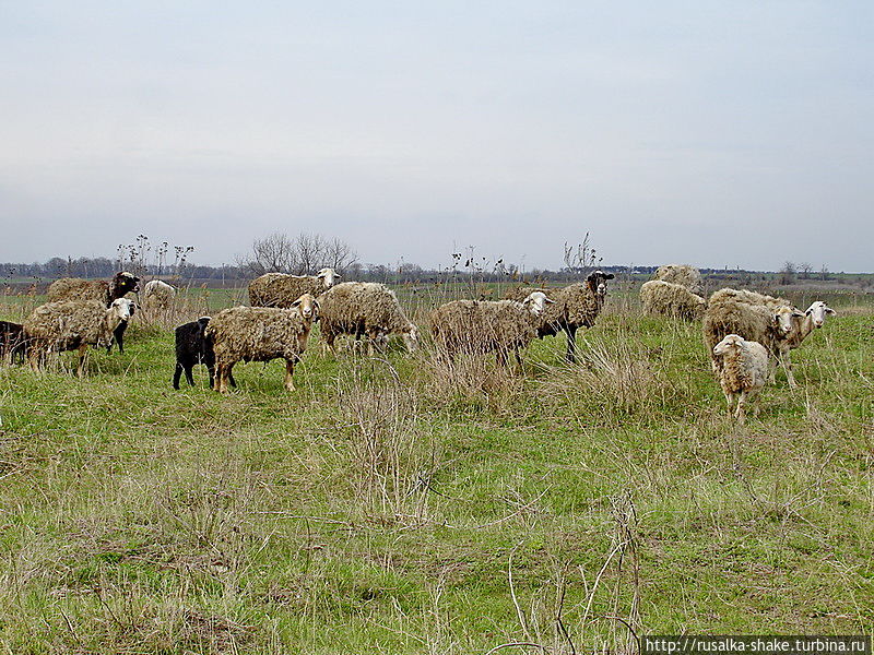 Дорога к Лысогорке Лысогорка, Россия